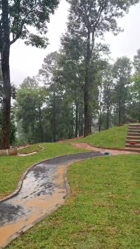Terraced lawns, a curving path and stone steps under tall trees
